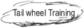 Tail wheel endorsement - Training auf einem Spornradflugzeug in den USA
